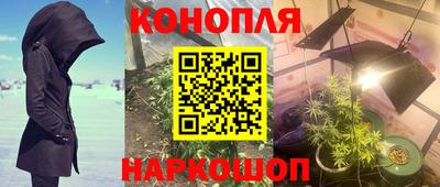 PSILOCYBIN Апшеронск