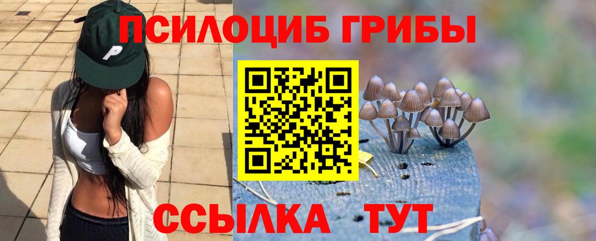 Галлюциногенные грибы прущие грибы  Вход с VPN  Псилоцибиновые грибы Magic Shrooms  Батайск 